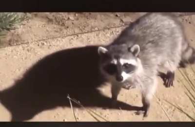 "Fucksake Dave ! I said act natural if anything goes down......"