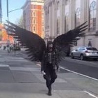 Winged Edgelord of Social Distancing