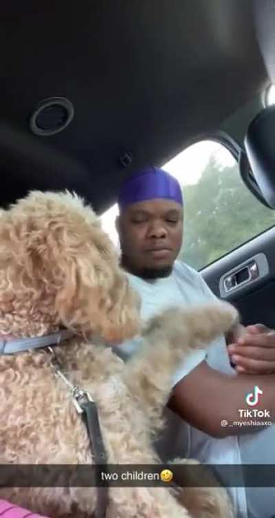 Siblings in the back seat