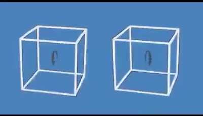 These boxes are not moving ?