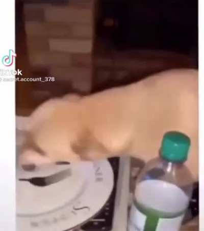 “Mine”..Fuk off” !!!