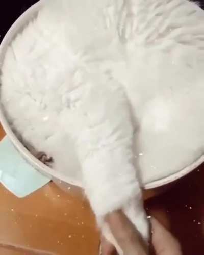 Perfect Fit!
