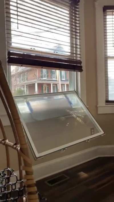 Reviewing this window perch for cats