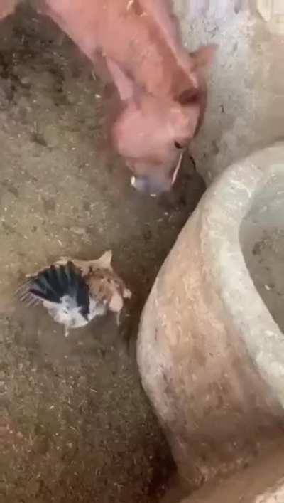 Did not expect that