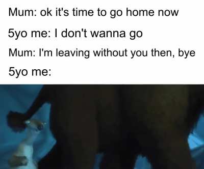 Z O O M