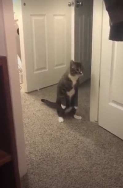 I see you over there.