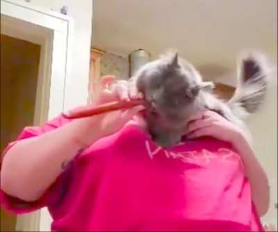 to eat beef jerky in front of the cat