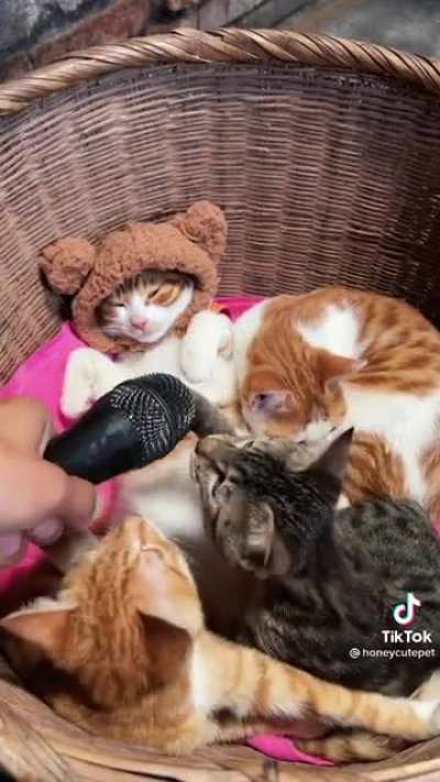 ?