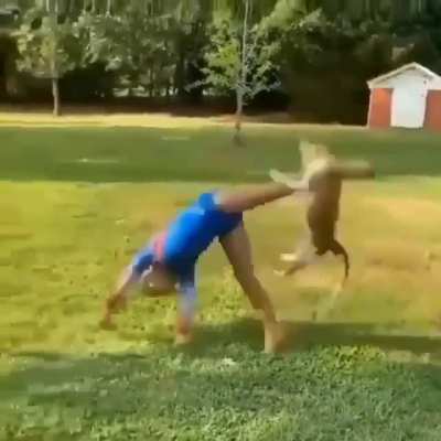 The cat