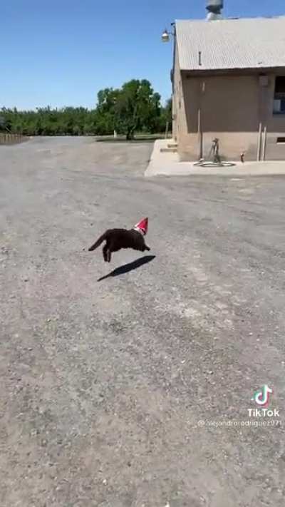 Big jumps