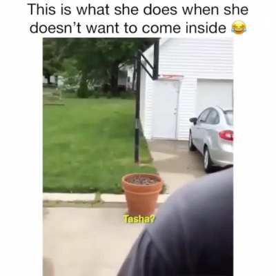 When she want to come inside ?