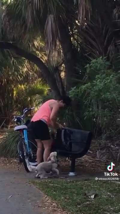 Oh yay doggo