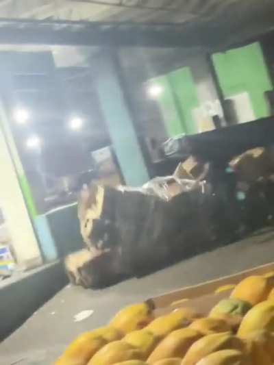 To transport melons