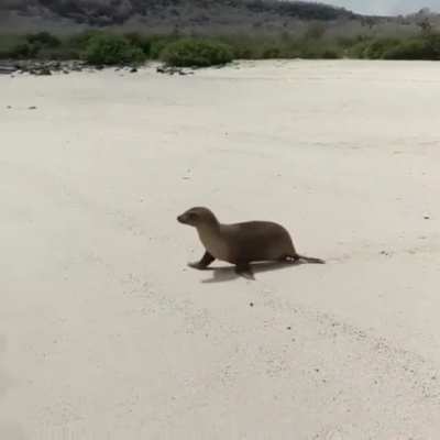 When it is Monday morning and you have to go back to work