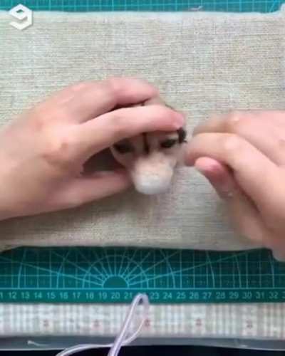 TIL How Puppies Are Made!