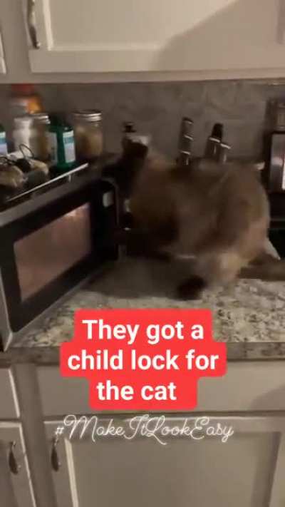Will Kitty get it?
