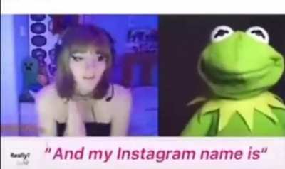 muppet gone wild