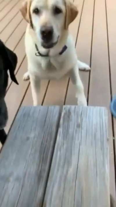 it doesnt matter how big a stick is, but how you throw it
