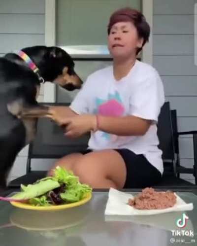 Eat the leaf, dog.
