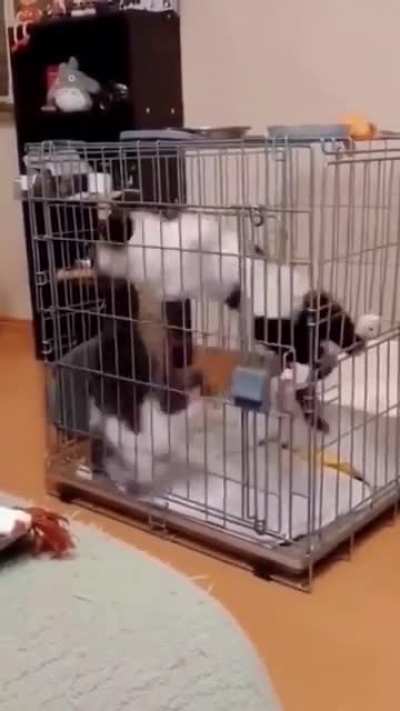 Are they washing machine?