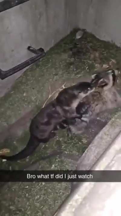 WTF