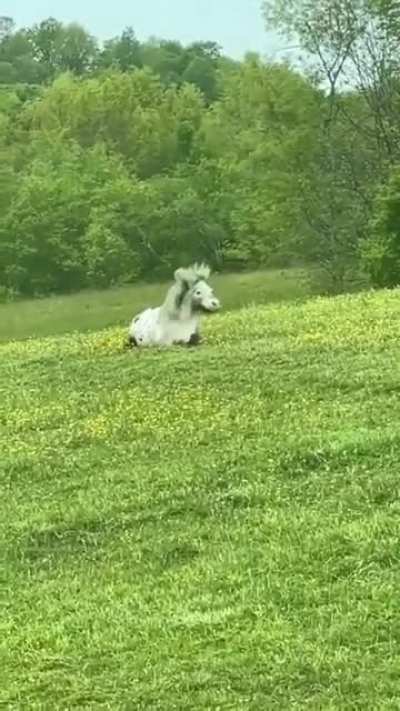 He really loves his hair.