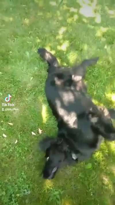 [OC] Flop!