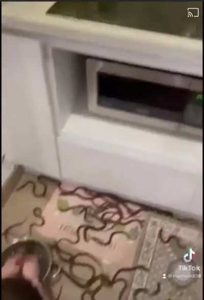 To cook eels without having to burn down the house