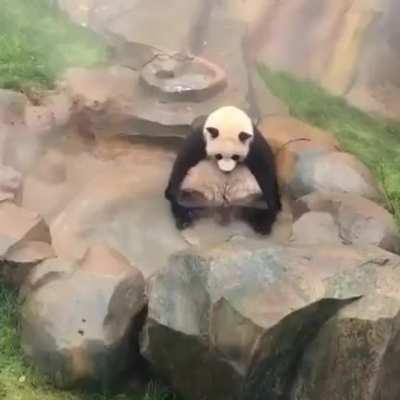 He looks so sad ?