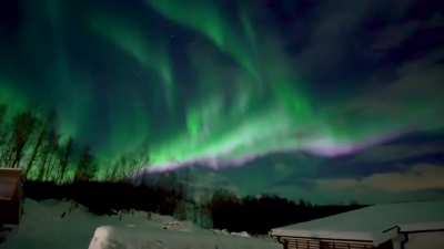 ? When you rent a cabin on the Norwegian Isle of Senja, this is what you see when you walk outside at night.