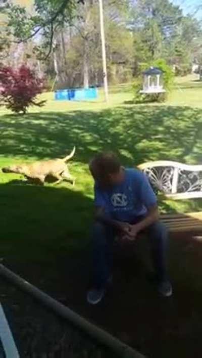 Dog Doesn't Recognize Owner After Weight Loss...Until He Sniffs Him
