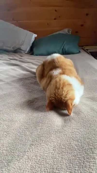 Fred naps