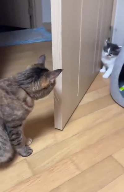 First time meeting