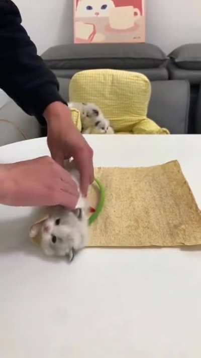 Maybe maybe maybe