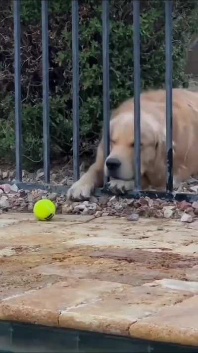 Never give up!