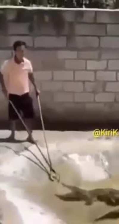 Nice