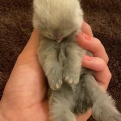 BIG yawn ?