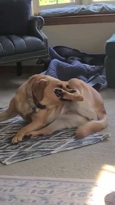 Mmmm, leg