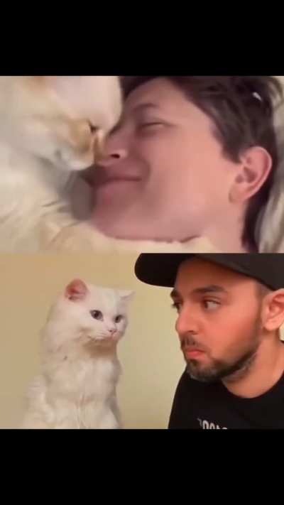 The cat is not ready for this