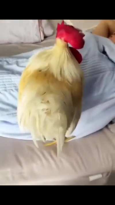 I said.. WAKE UP!! ?