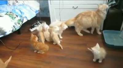 How to instantly clear the room