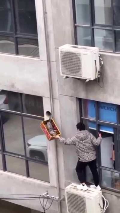 Brave Legend
