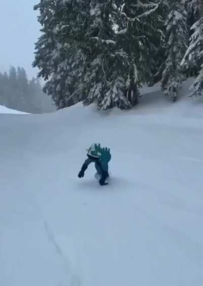 Parents attached a microphone to their 4 year old while teaching him how to snowboard