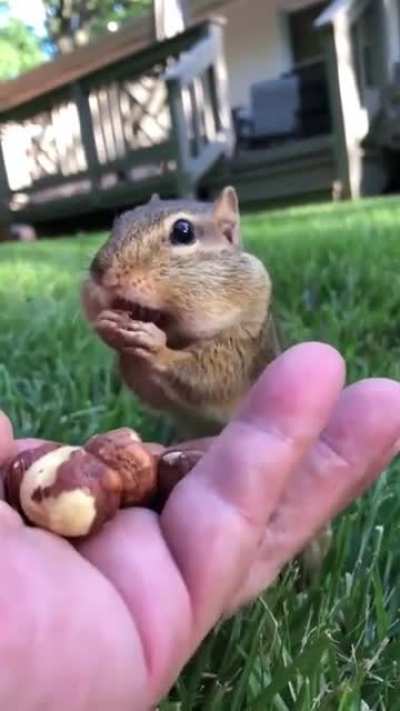 The cheeks ? Take it easy little buddy