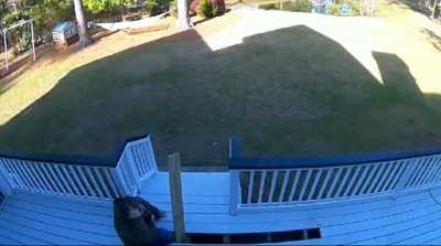 Deck improvements