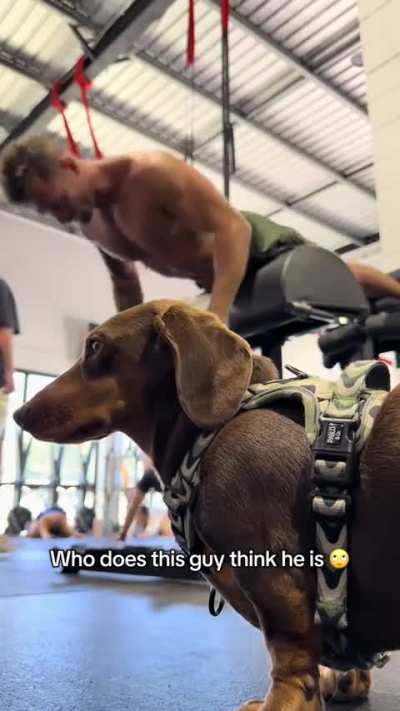 Gym Bros