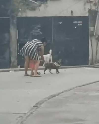 Tying dog to child's scooter.
