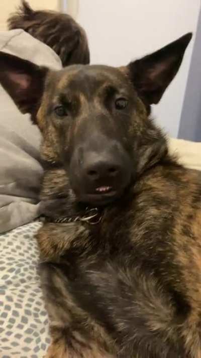 silly boy?