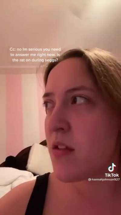 Ratatouille 2