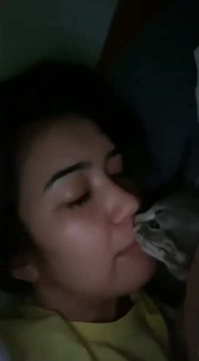 Fussy kitty, angry kitty